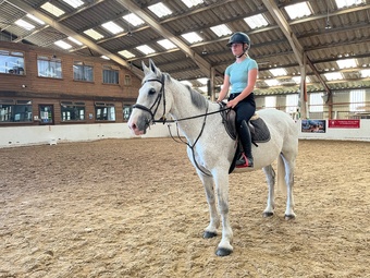 "Freddie " Grey Gelding All Rounder