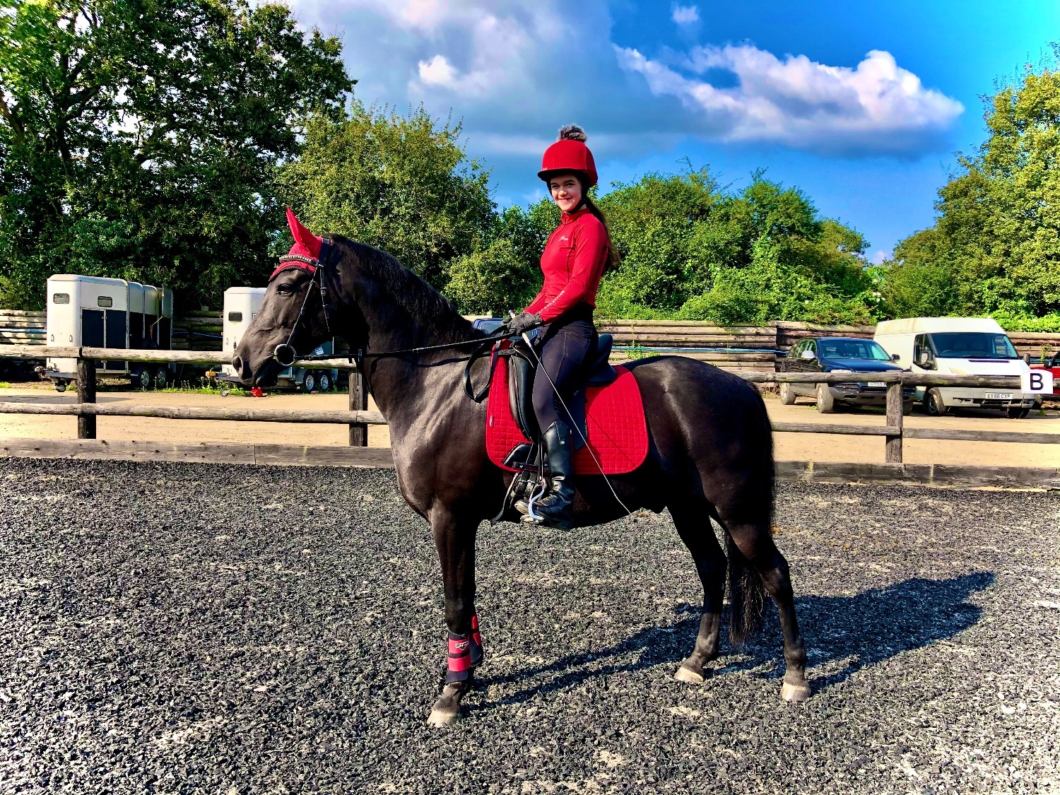 15hh Andalusian x Welsh B for loan/share - Full Loan in 