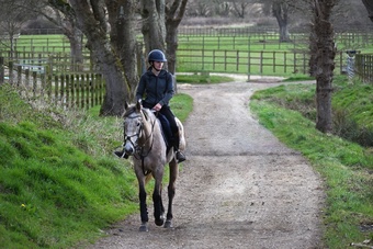"" Grey Mare All Rounder