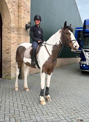 Part loan - gelding
