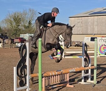 "Captain" Black Gelding All Rounder