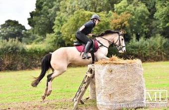 "Cookie" Buckskin Mare All Rounder