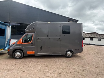 Foxy Stallion Peugeot Horsebox
