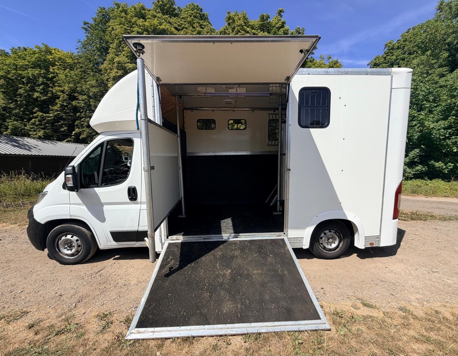 Other  Citroen Horsebox - Horseboxes Up to 3.5 Tonnes in 
