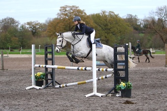 "Busy Bee" Fleabitten Grey Mare All Rounder