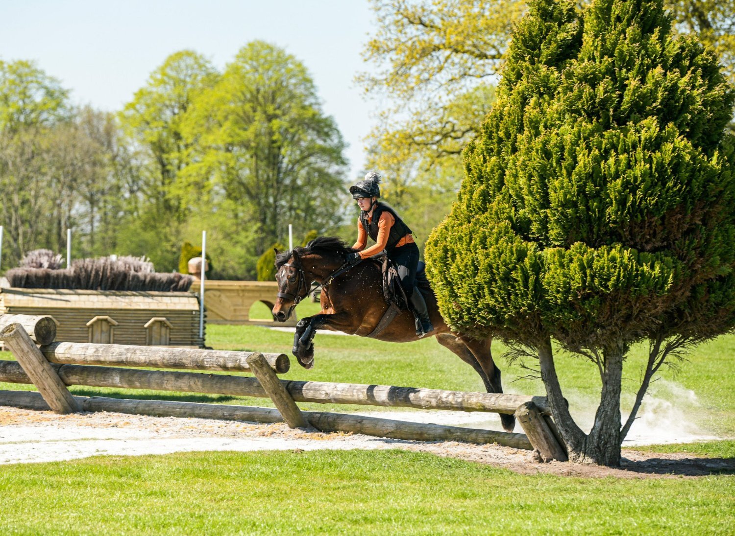 All Rounders  - "Maggie May " Bay Mare All Rounder