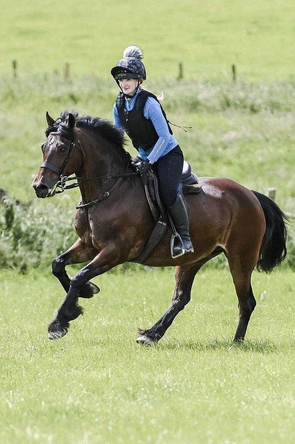 "Maggie May " Bay Mare All Rounder - All Rounders 