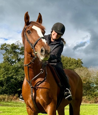 "Paris" Chestnut Mare Happy Hacker