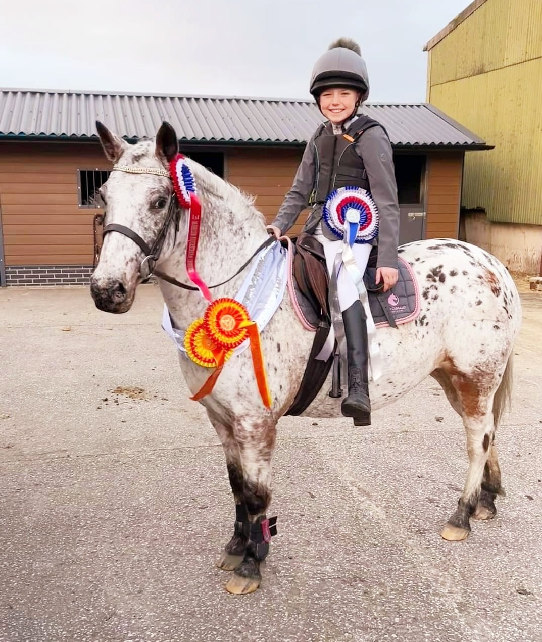 All Rounders  - "Indie" Blanket Spot Mare All Rounder
