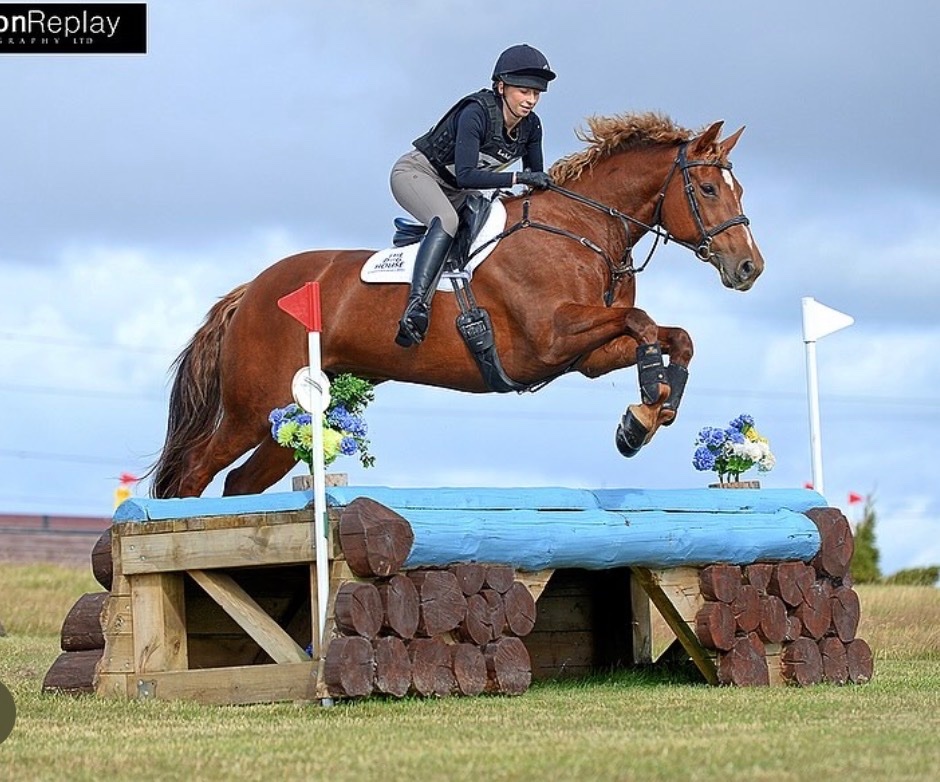 "Daisy " Chestnut Mare All Rounder - All Rounders