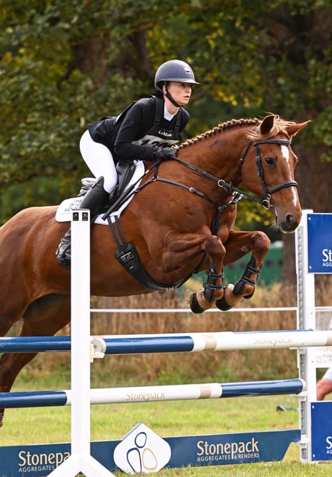 "Daisy " Chestnut Mare All Rounder 