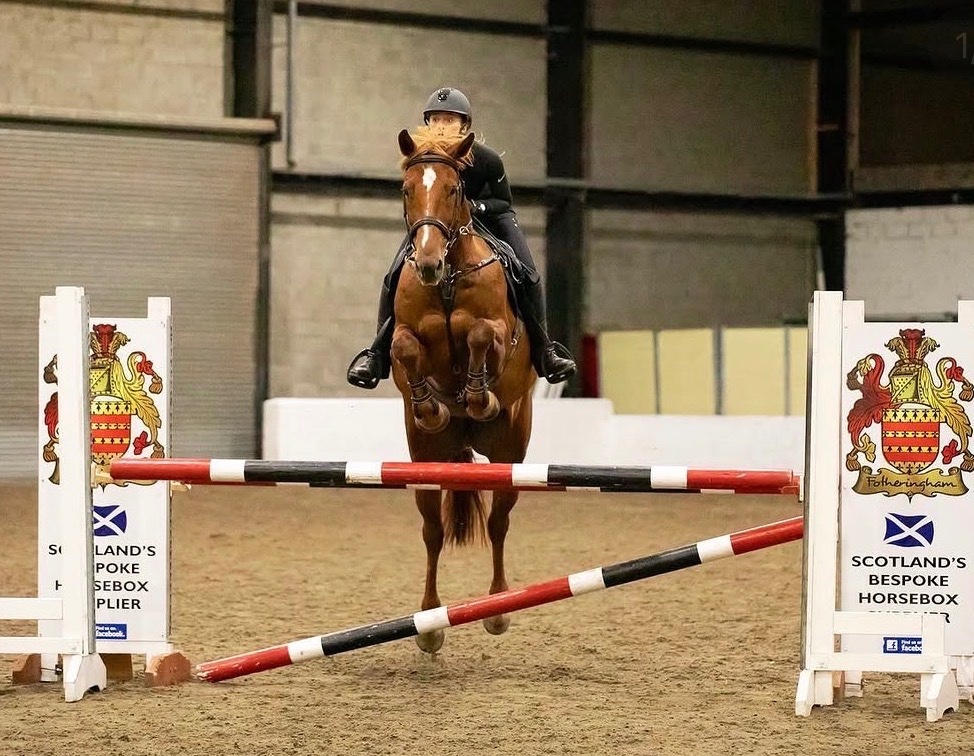 All Rounders - "Daisy " Chestnut Mare All Rounder