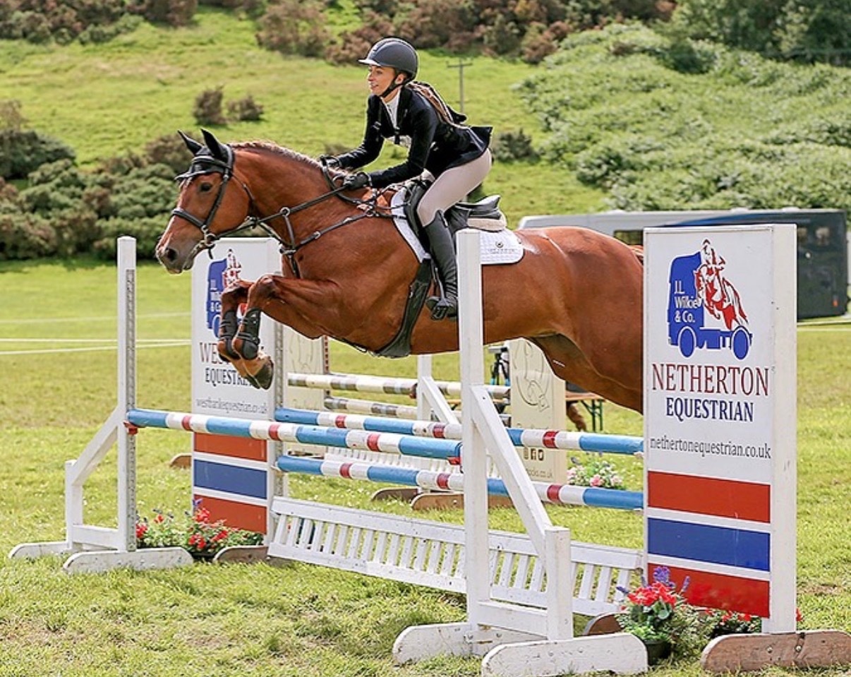 "Daisy " Chestnut Mare All Rounder - 