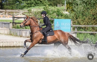 "Daisy " Chestnut Mare All Rounder