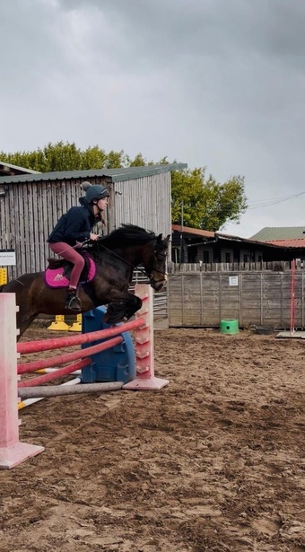 "Lola" Dark Bay Mare Pony Club Pony