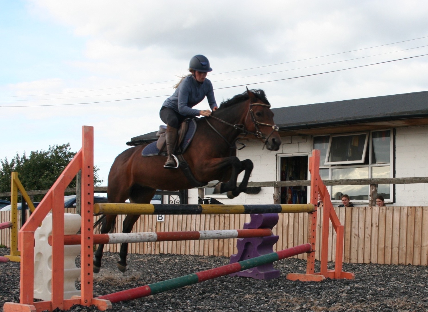 "✨Spring✨" Bay Mare Pony Club Pony - Pony Club Ponies 