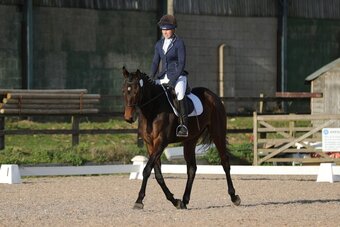 "Poppy" Bay Mare All Rounder
