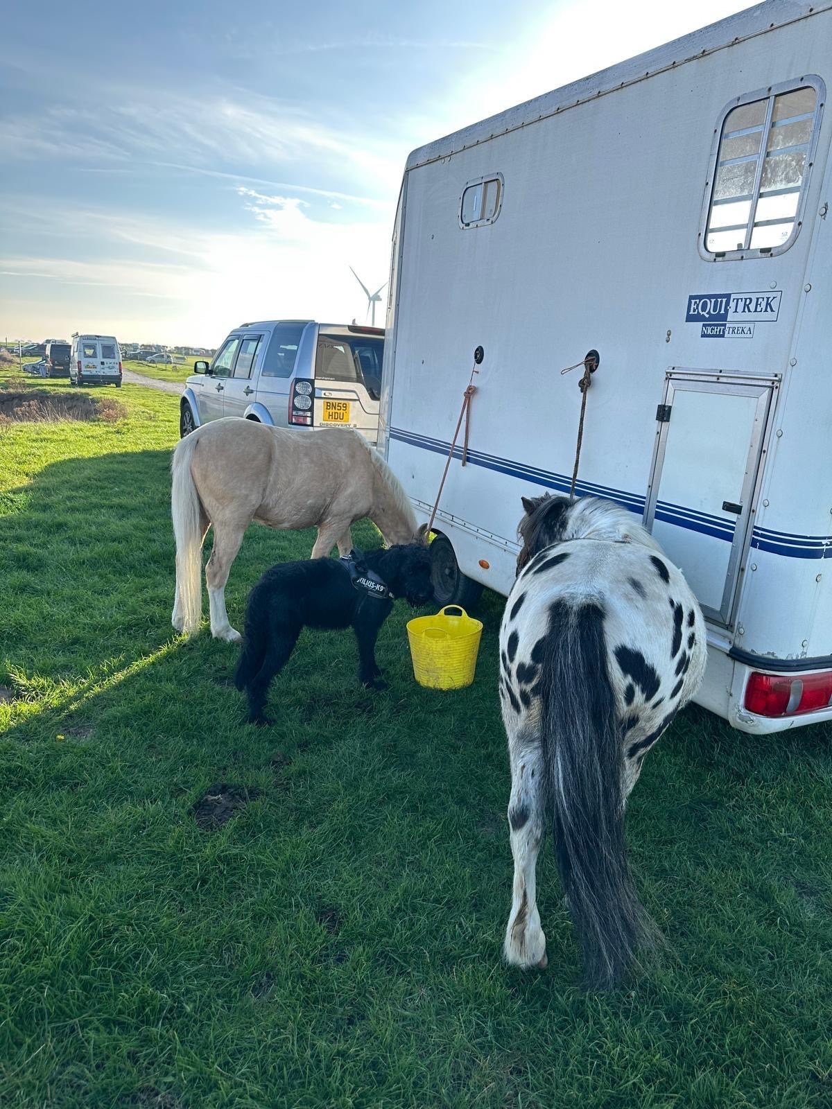  Equi-Trek Night-Treka  Horse Trailer