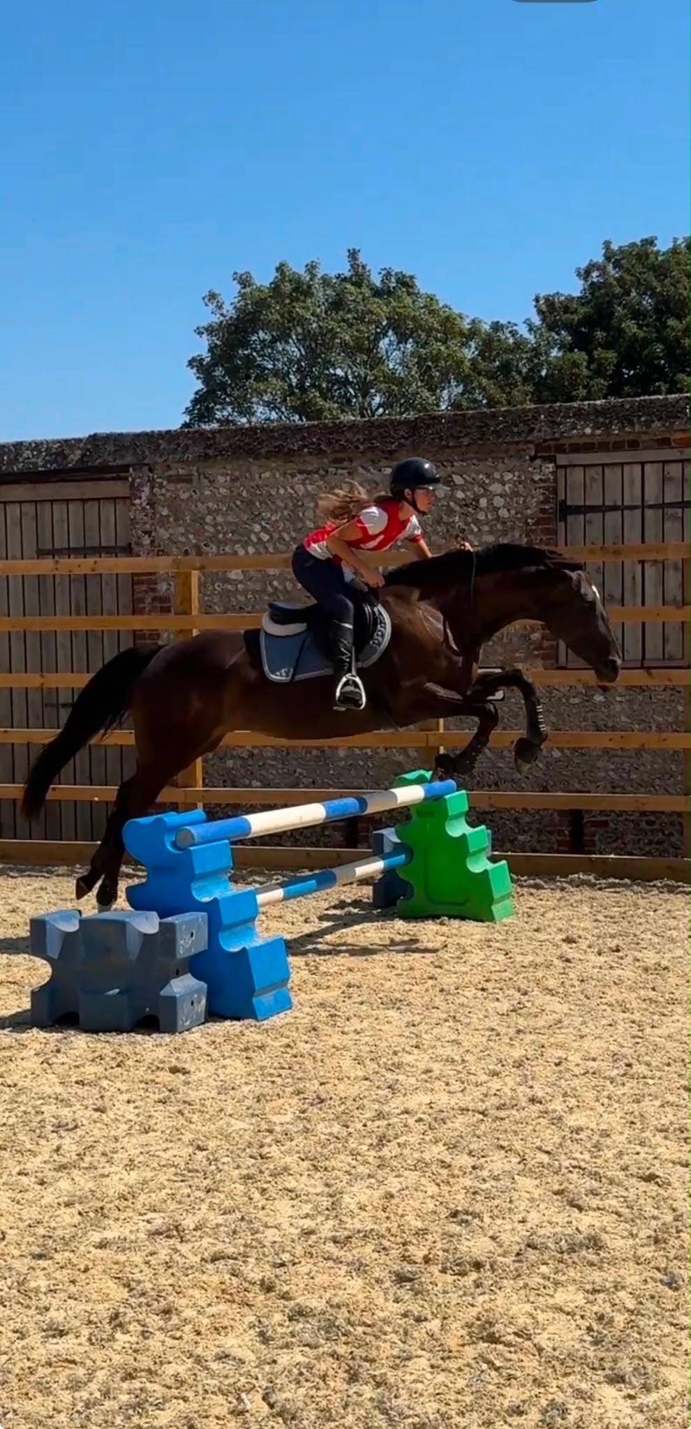 All Rounders  - "Trixie" Black Mare All Rounder