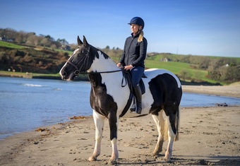 "" Piebald Mare All Rounder