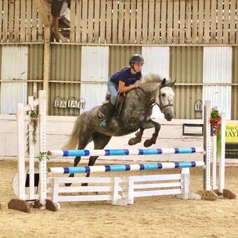 "Josie" Dapple Grey Mare All Rounder