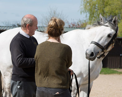 New To Horse Ownership And Livery Yards? Who Should You Ask For Equine Advice?