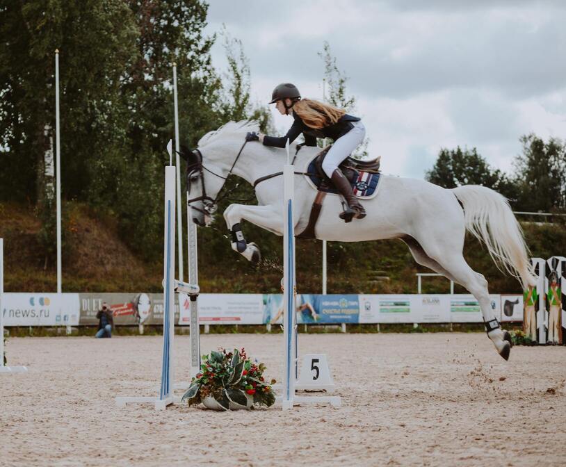 Elliott Rowe's Training Tips For Producing A Show Jumper Fro by