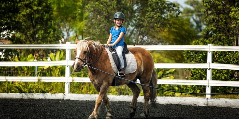 Riding Schools - What Are They And Why Are They Important?