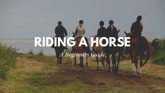 Teaching a beginner to ride a horse