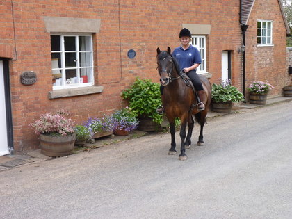 Our top destinations to take your horse on a UK holiday