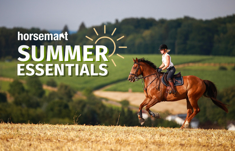 Summer Essentials For Every Equestrian