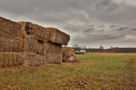 Looking For Cheap Livery? Discover The True Cost Of Running A Livery Yard
