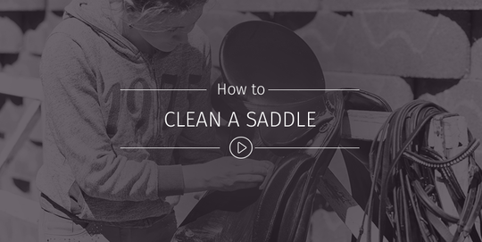 How To Clean Your Saddle