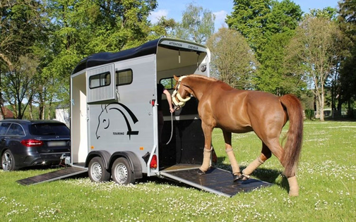 What Every Horsebox or Trailer Seller Should Know Before Listing