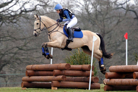 Elliott Rowe's Training Tips For Producing A Show Jumper Fro by