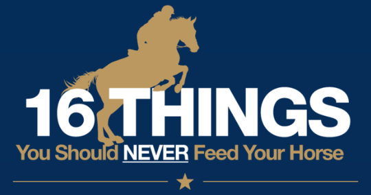 16 Things You Should Never Feed Your Horse