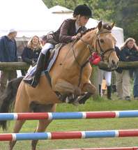 Elliott Rowe's Training Tips For Producing A Show Jumper Fro by Rowebuck  Showground