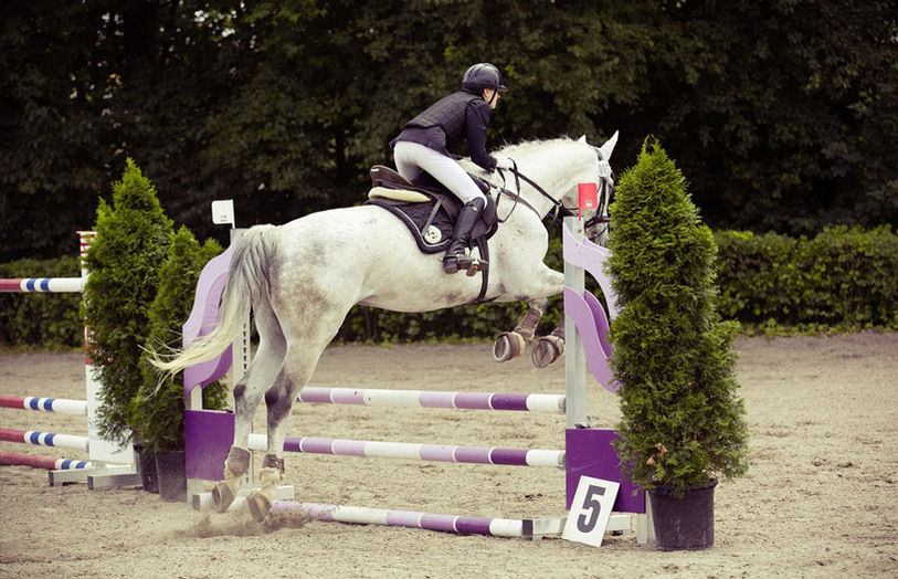 Elliott Rowe's Training Tips For Producing A Show Jumper Fro by